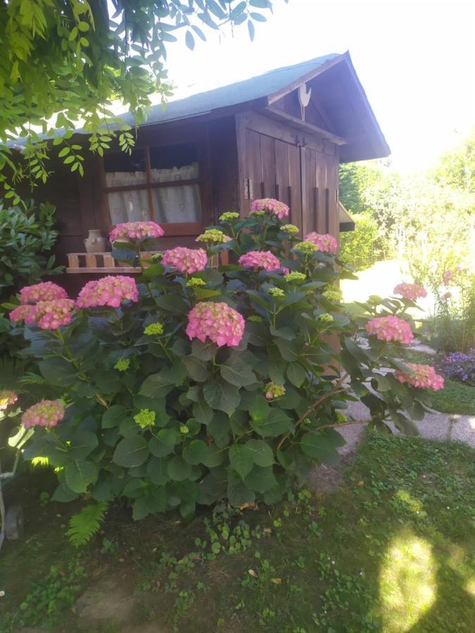 Al Casale B&B Casalserugo Eksteriør bilde