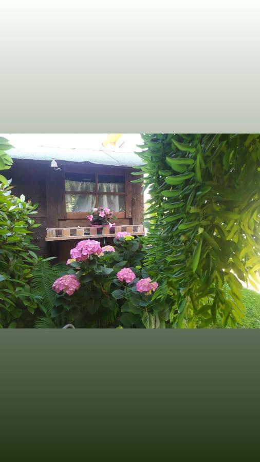 Al Casale B&B Casalserugo Eksteriør bilde