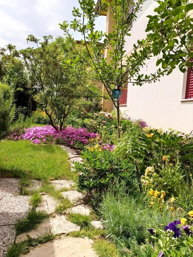 Al Casale B&B Casalserugo Eksteriør bilde