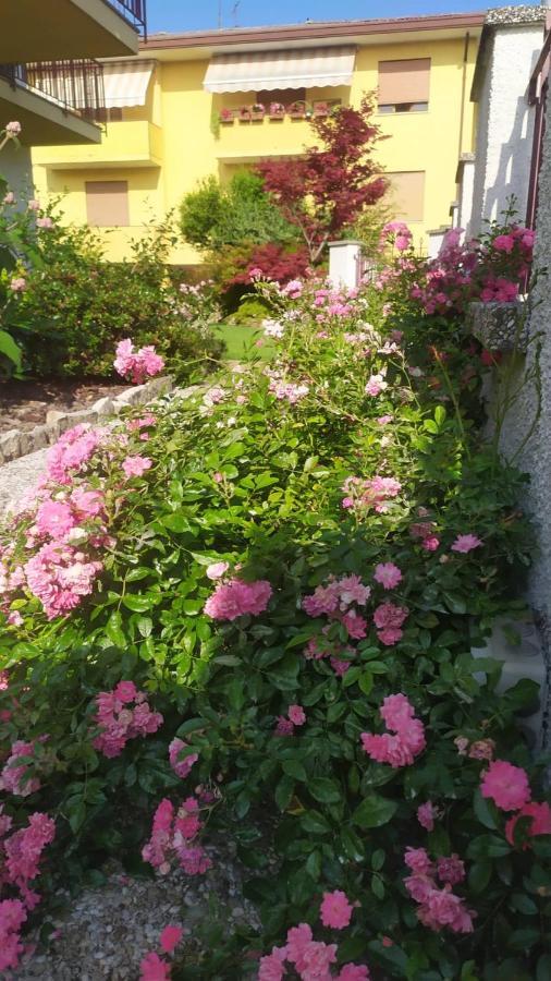 Al Casale B&B Casalserugo Eksteriør bilde